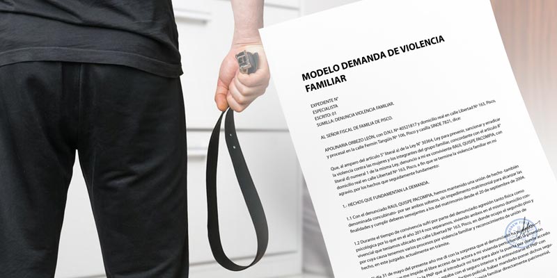 Modelo demanda de Violencia Familiar